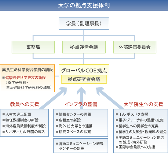 大学の拠点支援体制